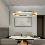 Lustra LED suspendata ANINA 34W, 1 Cerc, lumina Rece/Calda/Neutra, Dimabila, Auriu Lucios Alb, Inaltime Reglabila - imagine 4